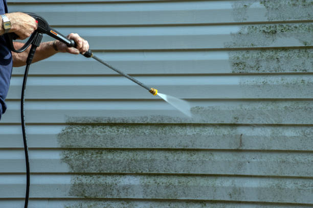 Best Deck Cleaning Services  in Lake Ozark, MO